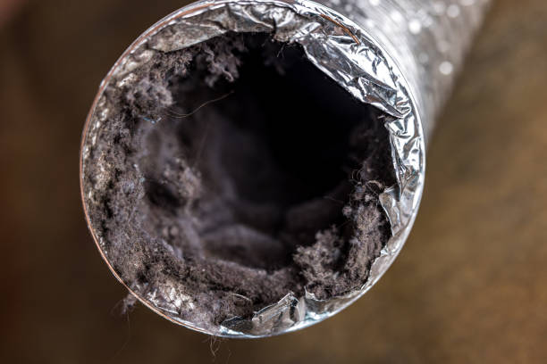 Best Professional Duct Cleaning Services  in Highlands Ranch, CO
