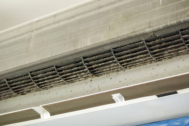 Best Emergency Air Duct Cleaning  in Highlands Ranch, CO